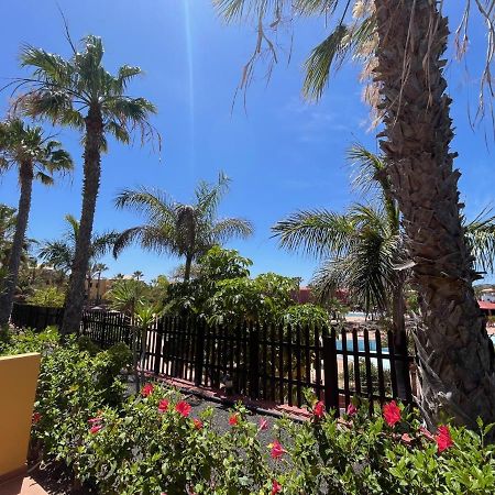 My Pretty Home - Lovely And Spacious Surrounded By Tropical Gardens - Private Covered And Uncovered Terrace - Pool - Parking - Free Fibre Optic Internet Corralejo Eksteriør bilde