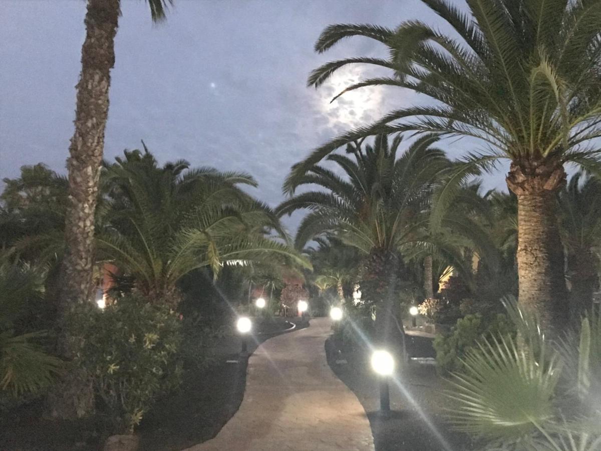 My Pretty Home - Lovely And Spacious Surrounded By Tropical Gardens - Private Covered And Uncovered Terrace - Pool - Parking - Free Fibre Optic Internet Corralejo Eksteriør bilde