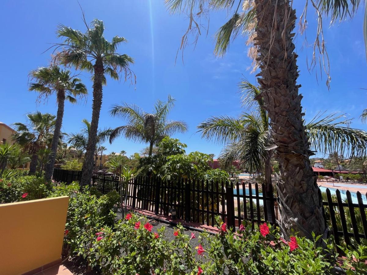 My Pretty Home - Lovely And Spacious Surrounded By Tropical Gardens - Private Covered And Uncovered Terrace - Pool - Parking - Free Fibre Optic Internet Corralejo Eksteriør bilde